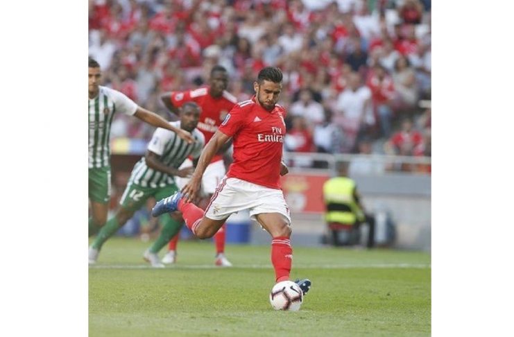 56304334_158345711846533_213686322355851163_n