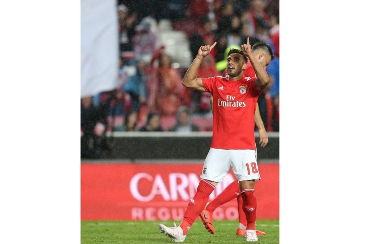 56605132_205742587060111_2905852297809223490_n