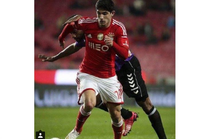 Gonçalo Guedes BENFICA 5