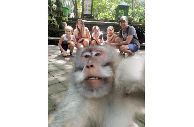 2_PAY-MONKEY-SELFIE