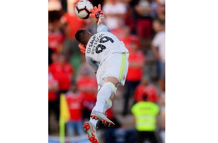 59837822_1576642172468184_782525086934099362_n