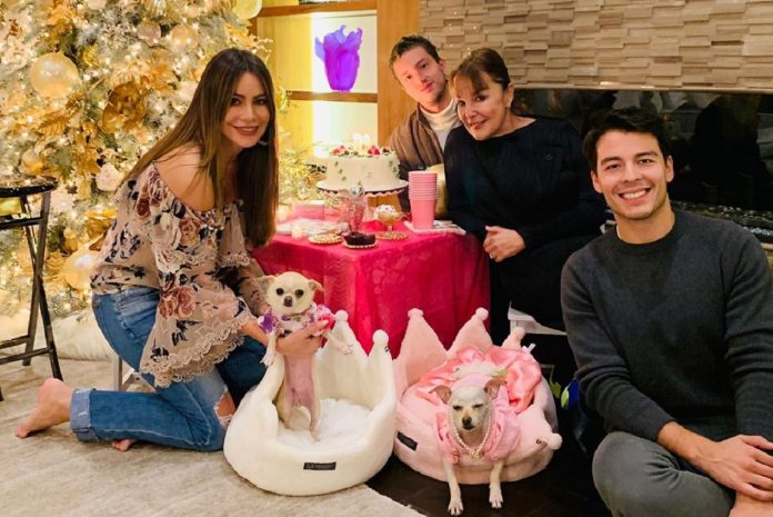 Sofia Vergara festa cadela