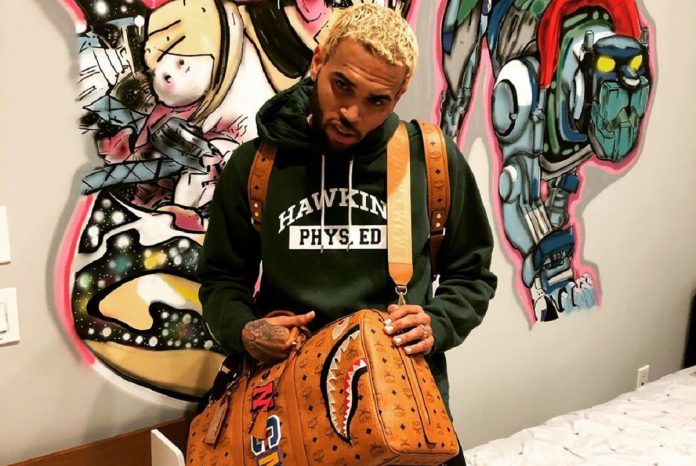 Chris Brown Multa Macaco