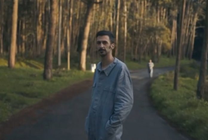 Bruno Nogueira programa