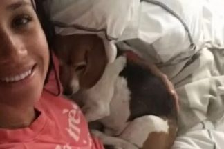A duquesa de Sussex recordou que o amigo de quatro patas "sofreu um acidente terrível" pouco antes de se mudar para o Reino Unido